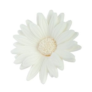 Margaretka kwiat z masy cukrowej 1 szt KOLOR BIAŁY