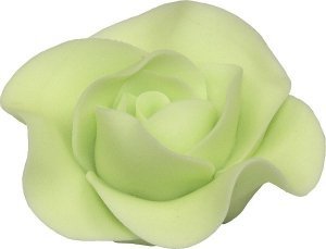 Róża Max 1 szt. pistacjowa