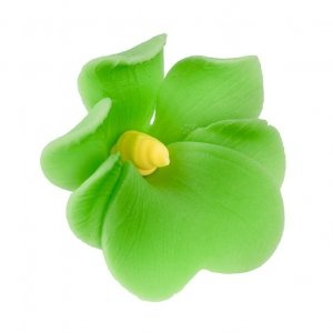 Miltonia kwiat cukrowy na tort 5cm zielony 1szt