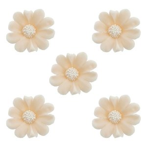 Duże kwiaty cukrowe na tort STOKROTKA 5szt ecru