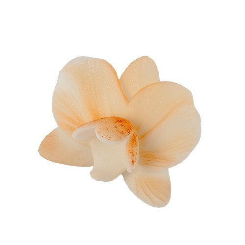 Cukrowy CYMBIDIUM kwiat z masy cukrowej - ECRU 1szt