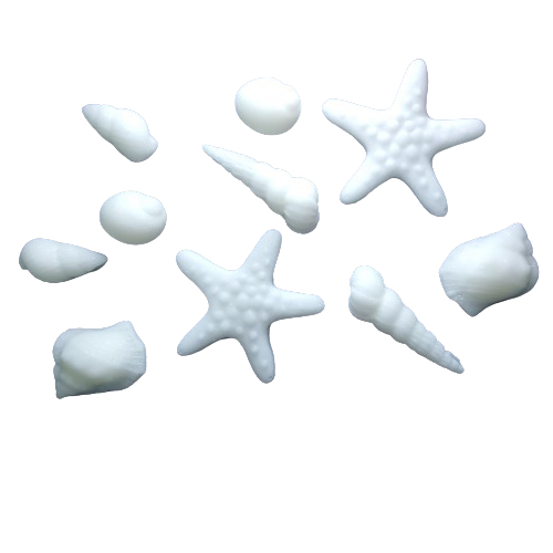 Cukrowe MUSZELKI rozgwiazdy na tort muffinki BIAŁE 10szt