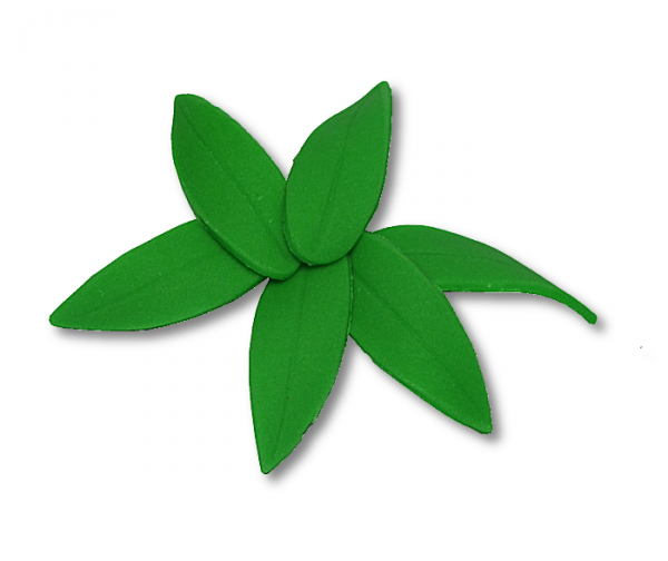 Hokus - Listki cukrowe do storczyków duże 10 szt.