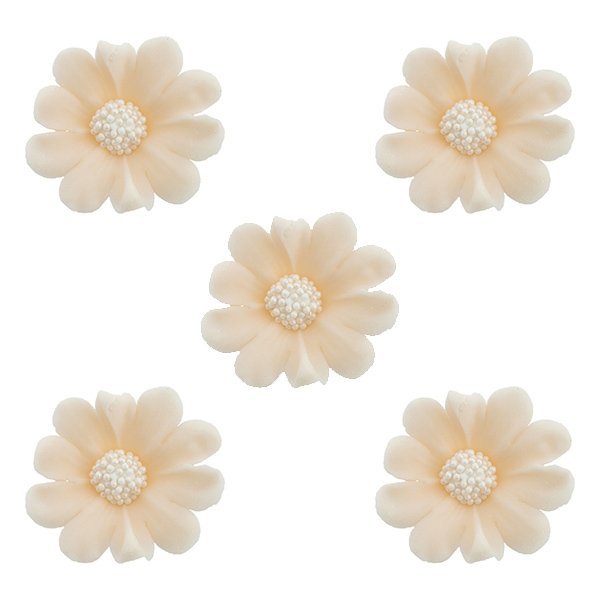 Duże kwiaty cukrowe na tort STOKROTKA 5szt ecru