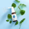 Melatonin Control + Melissa Extract, Aerosol, Aura Herbals, 30ml