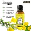 Natural Evening Primrose Oil, Indus Valley, 15ml
