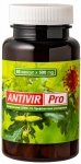ANTIVIR Pro, 60 kapsułek 500 mg