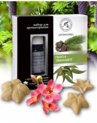 Aromatherapy Set with Pure Essential Oils and Ceramic Asterisks Silver Fir & Eucalyptus 