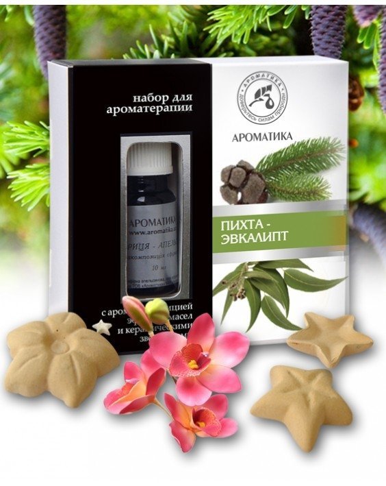 Aromatherapy Set with Pure Essential Oils and Ceramic Asterisks Silver Fir &amp; Eucalyptus