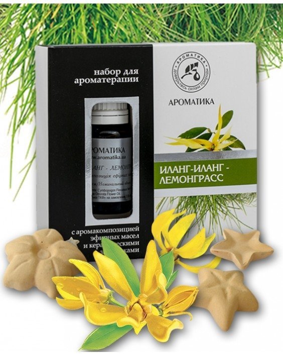 Aromatherapy Set with Pure Essential Oils and Ceramic Asterisks Ylang Ylang &amp; Lemongrass