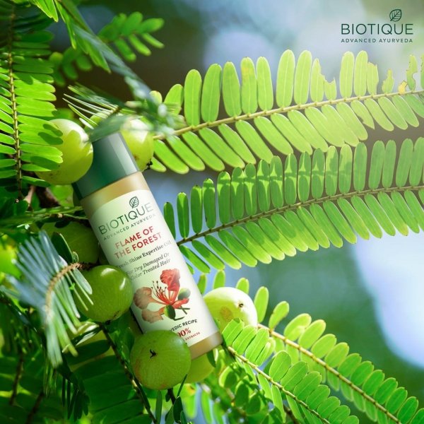 BIO Hibiscus Strengthening Hair Oil, Flame of the Forest, Biotique