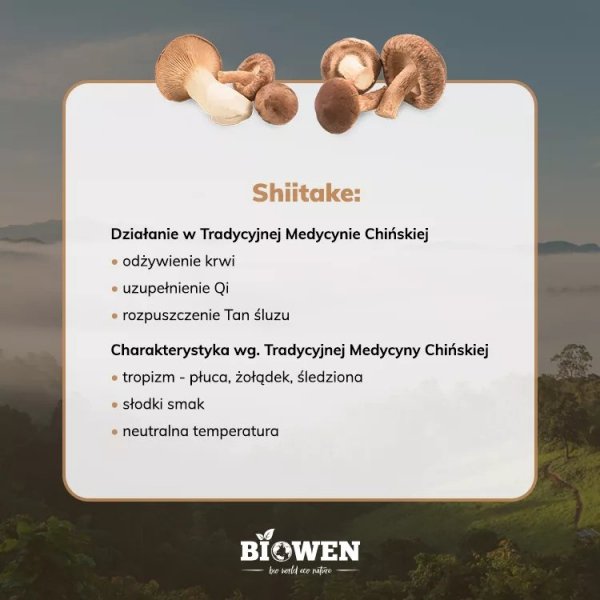 Ekstrakt z Shiitake 400 mg, Biowen, 90 kapsułek