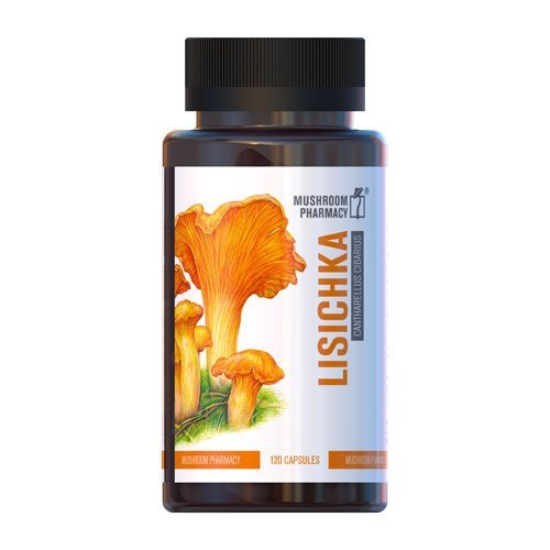 Grzyb Pieprznik Jadalny, Kurki (Cantharellus cibarius), 120 kapsułek