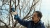 Akumulatorowy sekator ogrodniczy Bosch Professional Pro Pruner 12V