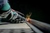Szlifierka prosta Metabo GVB 18 LTX BL 11-28 (600826840)