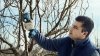 Akumulatorowy sekator ogrodniczy Bosch Professional Pro Pruner 12V