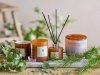 Bloomingville NO.6 Świeca Zapachowa z Naturalnego Wosku 200 g. / Sekwoja