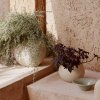 Audo PLANTS Doniczka do Kwiatów 17 cm / Ivory