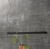 Muuto LINEAR Podłużna Lampa Wisząca 169 cm Czarna