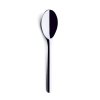 Iittala ARTIK Łyżeczka do Kawy