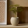 Audo PLANTS Doniczka do Kwiatów 24 cm / Ivory
