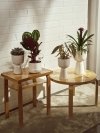 Iittala NAPPULA Doniczka z Podstawką 13 cm / Biała