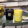 Esteban PARIS Świeca Zapachowa 180 g / Zapach Terre dAgrumes