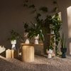 Iittala NAPPULA Osłonka - Doniczka do Kwiatów 15,5 cm / Ciemnozielona