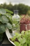 RIG-TIG by Stelton DRINK-IT Butelka do Wody 750 ml Żółta