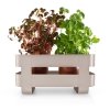 Eva Solo KITCHEN Organizer - Doniczka do Ziół z Systemem Nawadniania / Piaskowa