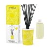 Esteban PARIS Dekoracyjny Dyfuzor Zapachowy z Patyczkami 100 ml / Zapach Terre dAgrumes
