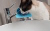 United Pets Milano GURGLE Poidło Kranowe dla Kotów / Morskie