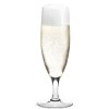 Holmegaard ROYAL Kieliszki do Szampana 250 ml