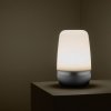 Blomus SPIRIT Lampion LED - S - Platinum Gray