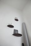 Menu GRIDY FUNGI Półka Ścienna S Ciemny Dąb
