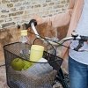 RIG-TIG by Stelton BRING-IT Kubek Termiczny To Go 340 ml Niebieski