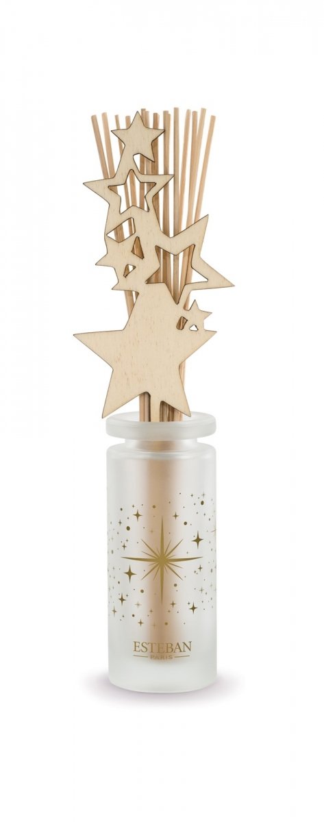 Esteban PARIS Świąteczny Dyfuzor Zapachowy 100 ml / Zapach Exquisite Fir