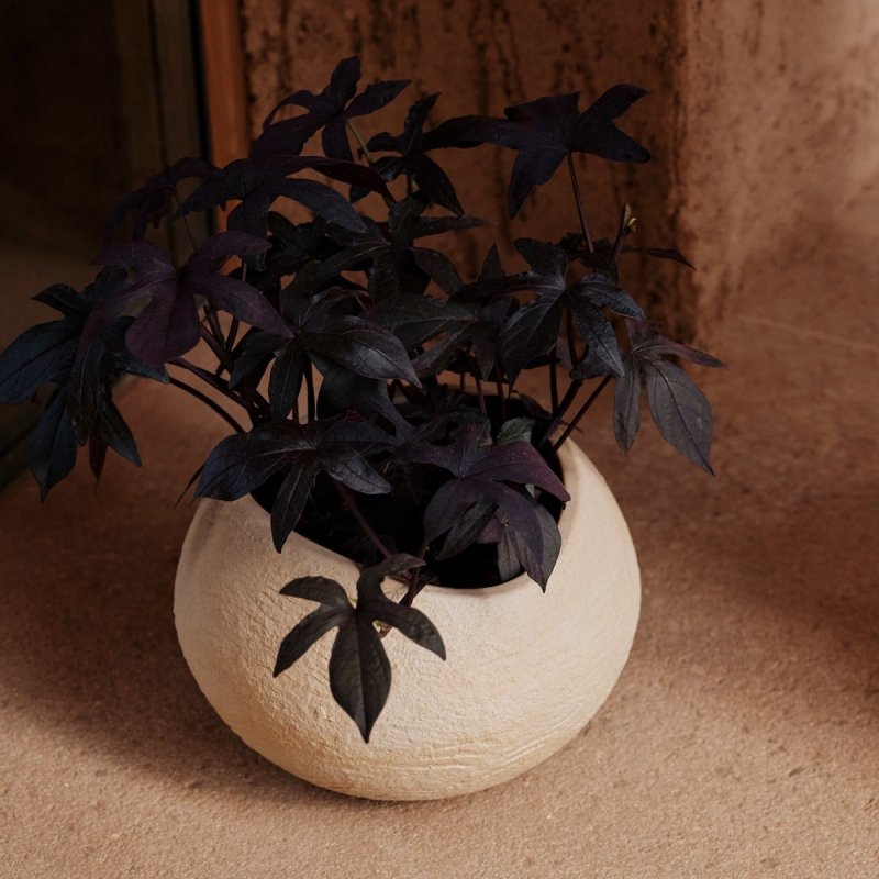 Audo PLANTS Doniczka do Kwiatów 17 cm / Ivory