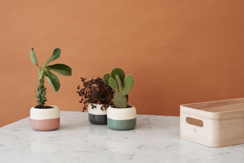 RIG-TIG by Stelton PLANT-IT Doniczka - Zielona Dusty Green
