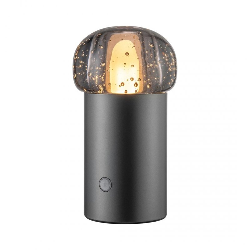 Blomus IRIS Przenośna Lampa LED / Antracytowa