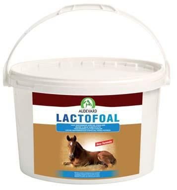 AUDEVARD LACTOFOAL 2,2 KG
