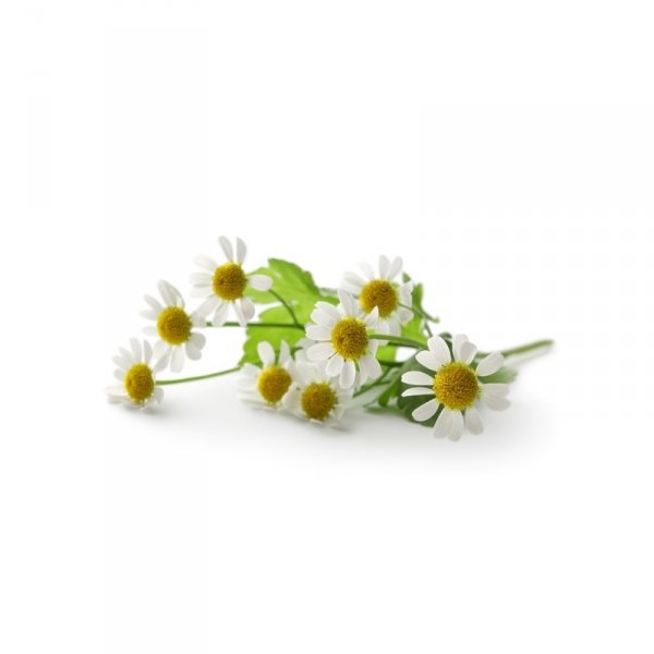 Rumianek kwiat EQUIHERBS 1KG