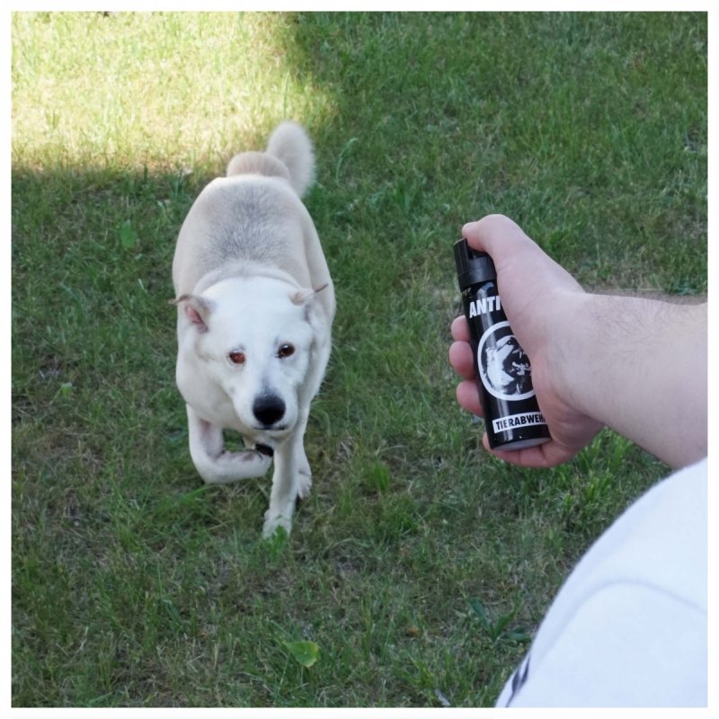 Hoernecke Gaz Pieprzowy Anti-Dog G050 63 ml - stożek