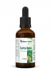 Gotu Kola (Wąkrotka azjatycka) - triterpeny i azjatykozydy - 50 ml
