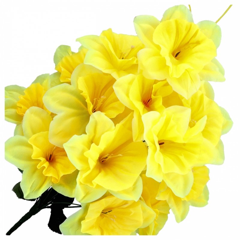 Żonkil Żółty KR2106 [50szt]