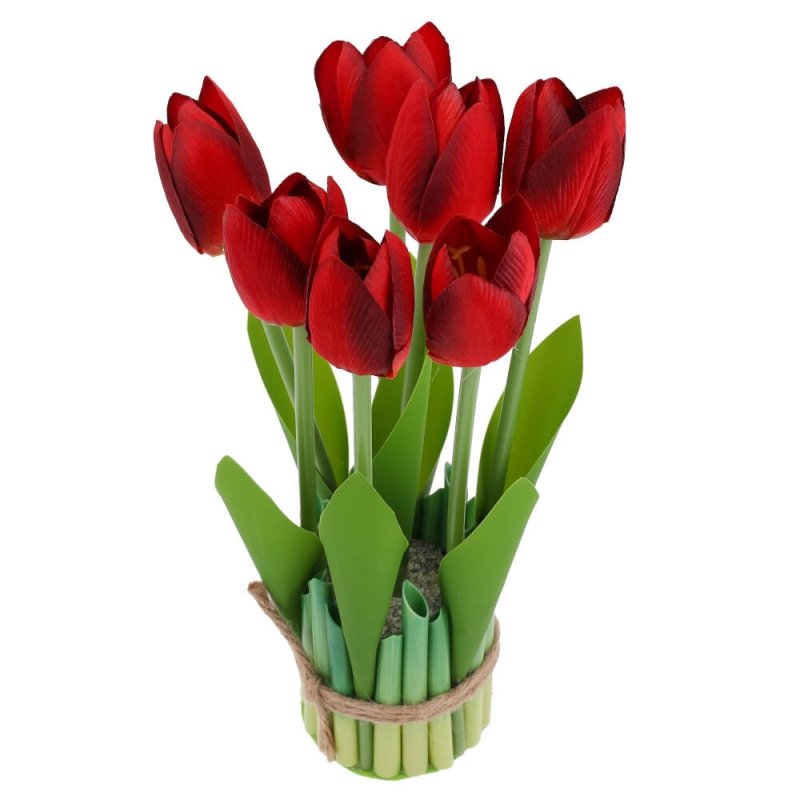 Bukiet Tulipanów Trawka Bordo [30 kompletów]