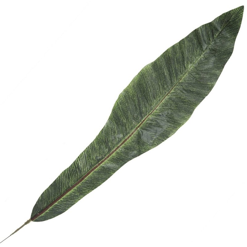 Liść Podłużny Zielony W Paski 60cm