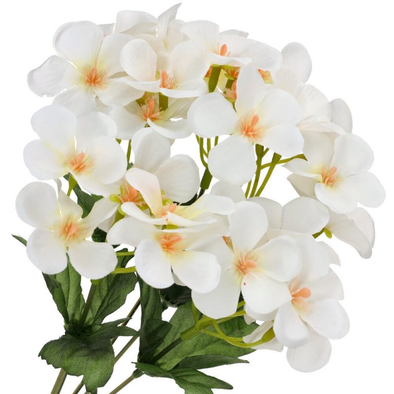 Hortensja Bukiet Kwiatów Biel [ 100szt ]