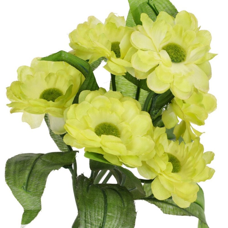 Margaretka Bukiet Kwiatów Pistacjowych  [ 200 szt ]
