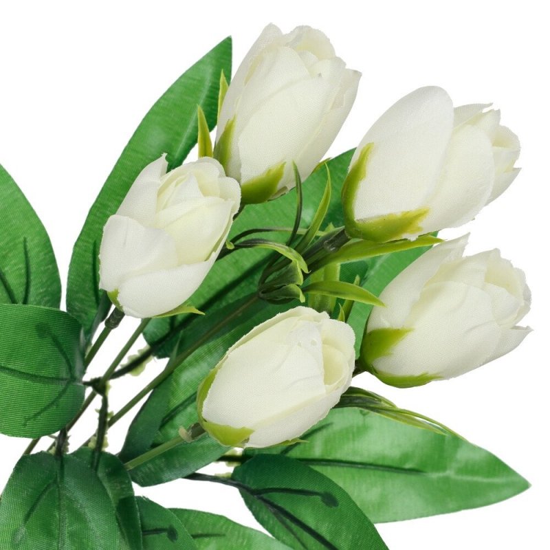 Bukiet Tulipany Ecru [ 200szt ]